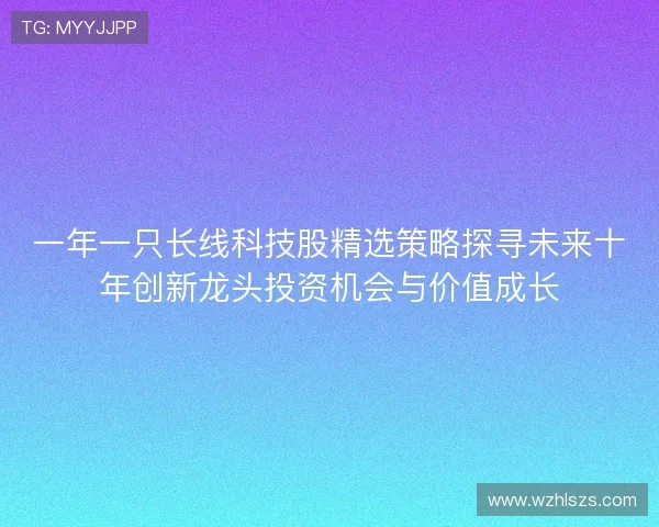 一年一只长线科技股精选策略探寻未来十年创新龙头投资机会与价值成长